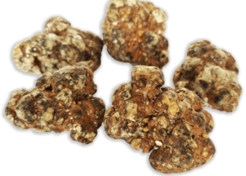 Various Magical truffle purchase tips