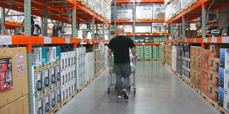 Can a person really make money through wholesalersdropshipping?