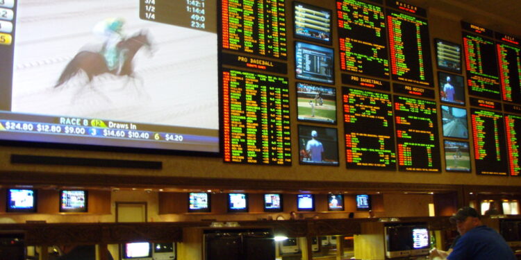 A Guide To Online Sports Betting:  How to Get Started!
