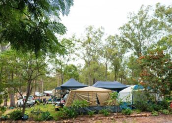 Tips on How to Choose the Best Security Equipment for Your Camping Needs