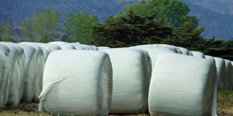 Round Bale Wrap: Ensuring Your Forage Lasts Longer and Stays Fresh