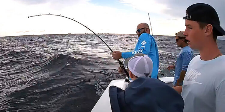 Get the most from a fishing expedition by boarding a charter in Merimbula